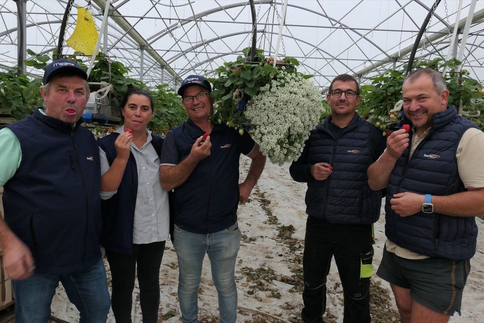 SCEA Demeter, producteurs partenaires de la SACFEL