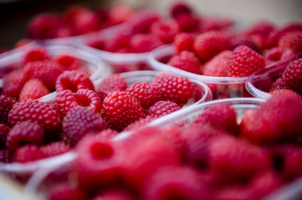 Framboises cultivées par les producteurs de la SACFEL