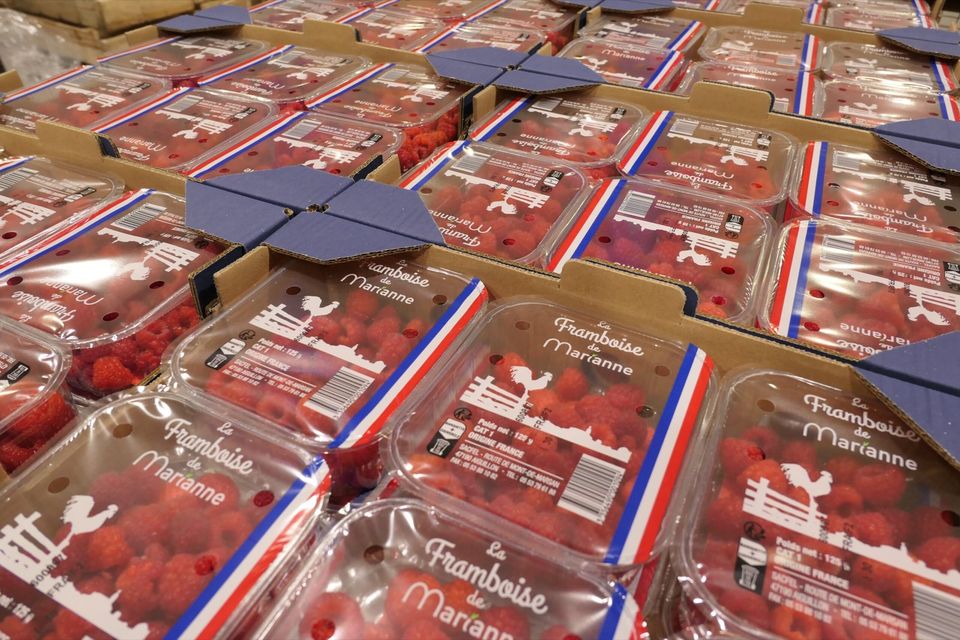 Barquettes de fraises Marianne