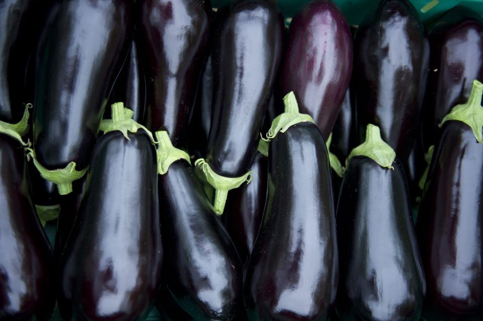 Aubergines de la SACFEL